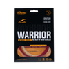 Hybrid Warrior