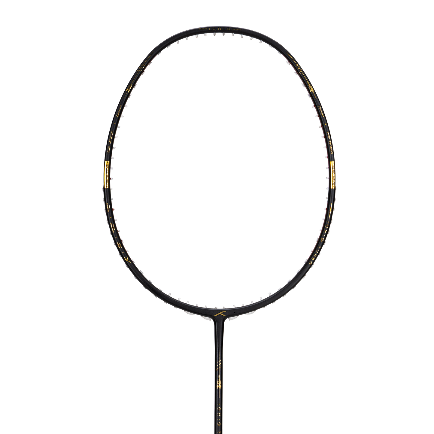 IONIQ Turbo (Black)