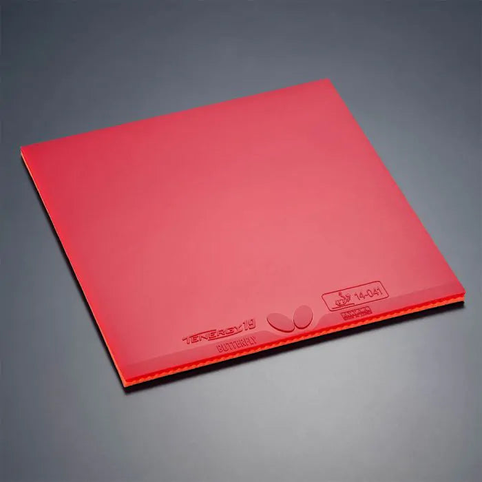 Butterfly Tenergy 19