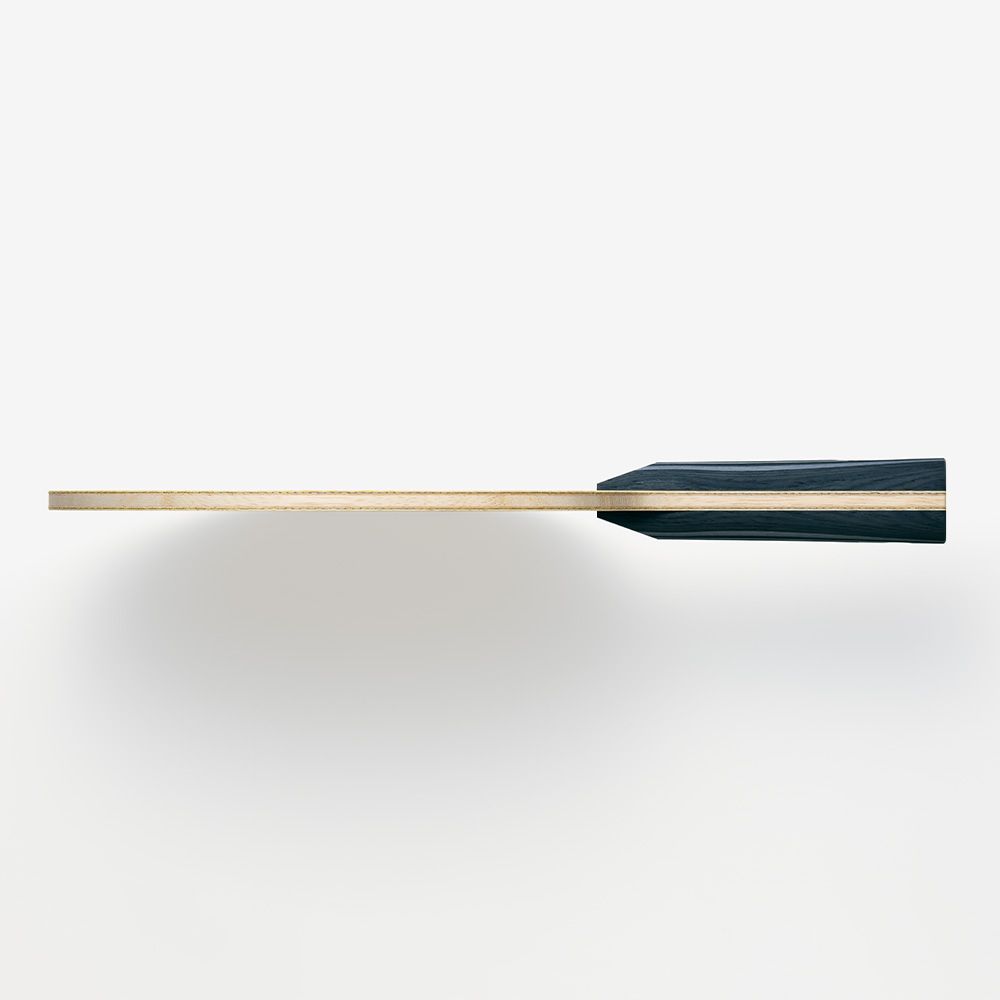Butterfly Fan Zhendong ZLC