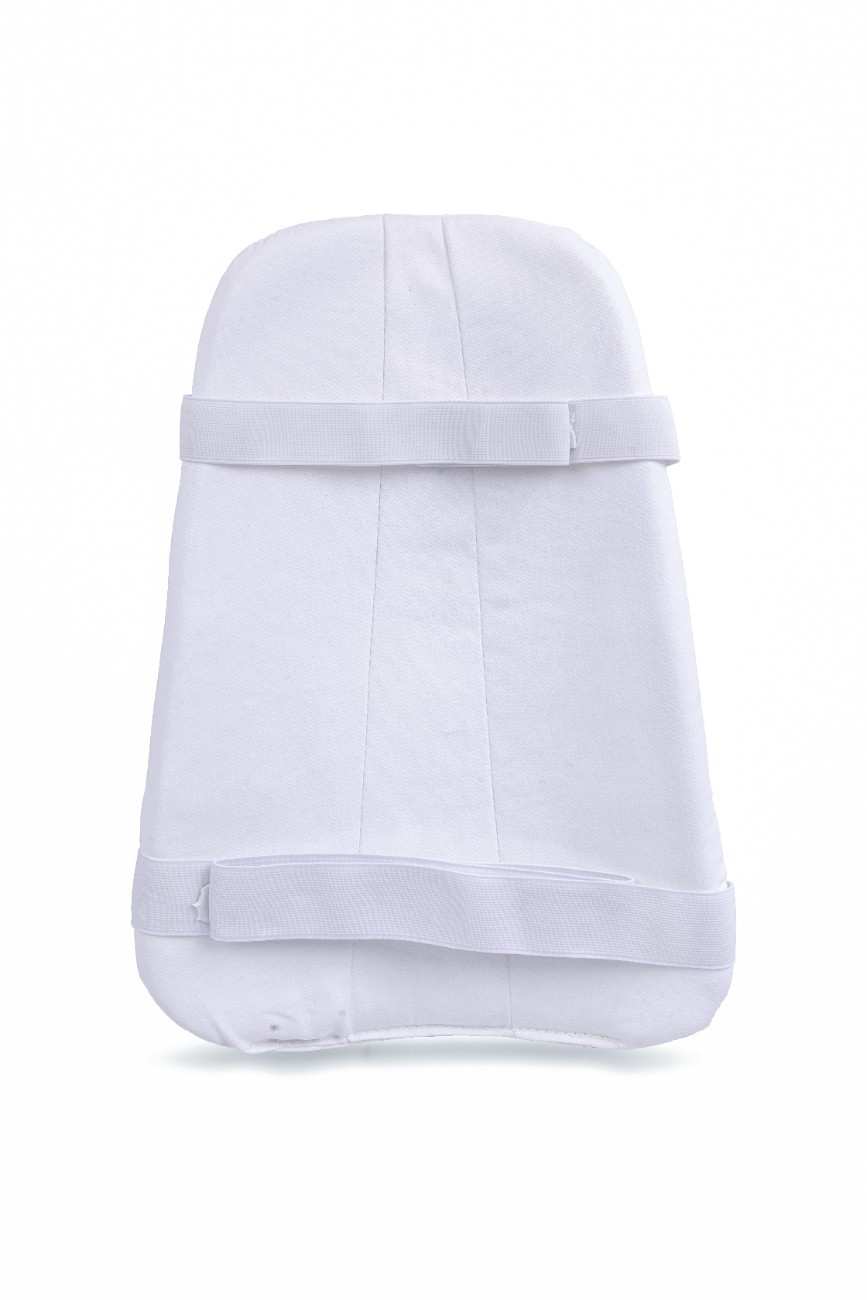 SG Test Cricket thigh pad