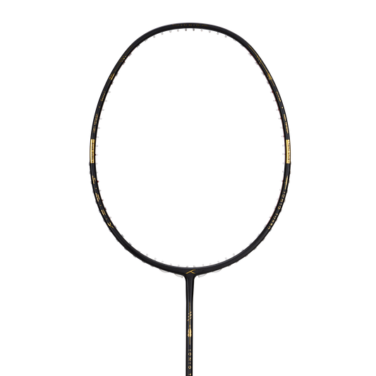 IONIQ Turbo (Black)