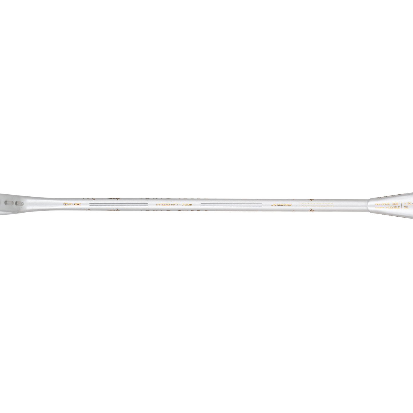IONIQ Turbo (White)