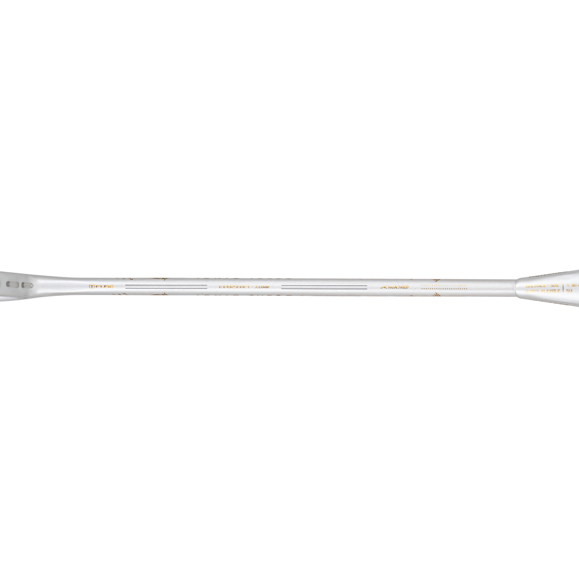 IONIQ Turbo (White)