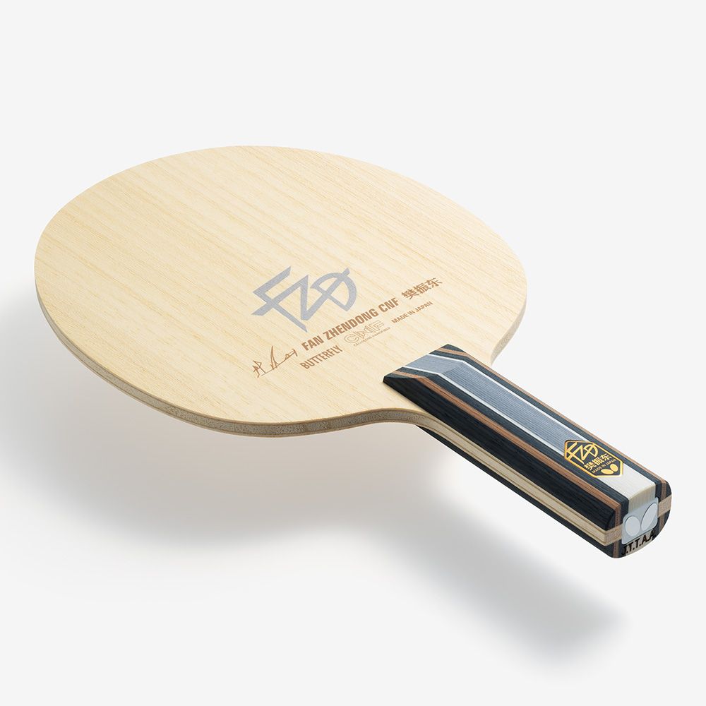 Fan Zhendong CNF