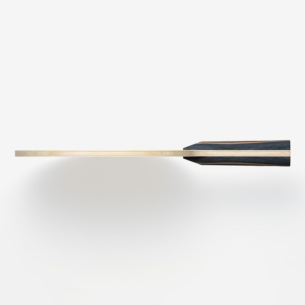 Fan Zhendong CNF
