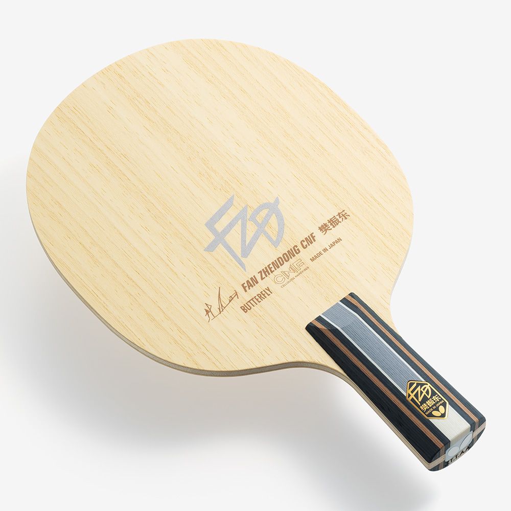 Fan Zhendong CNF