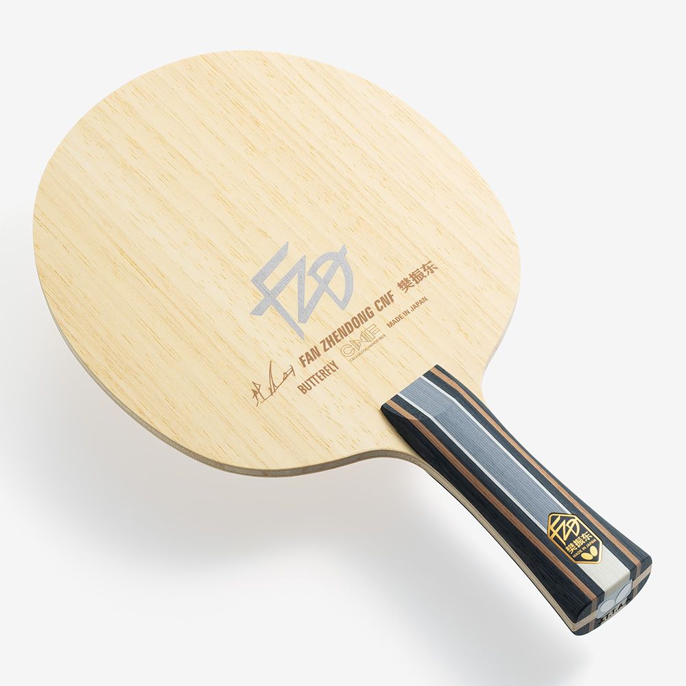 Fan Zhendong CNF