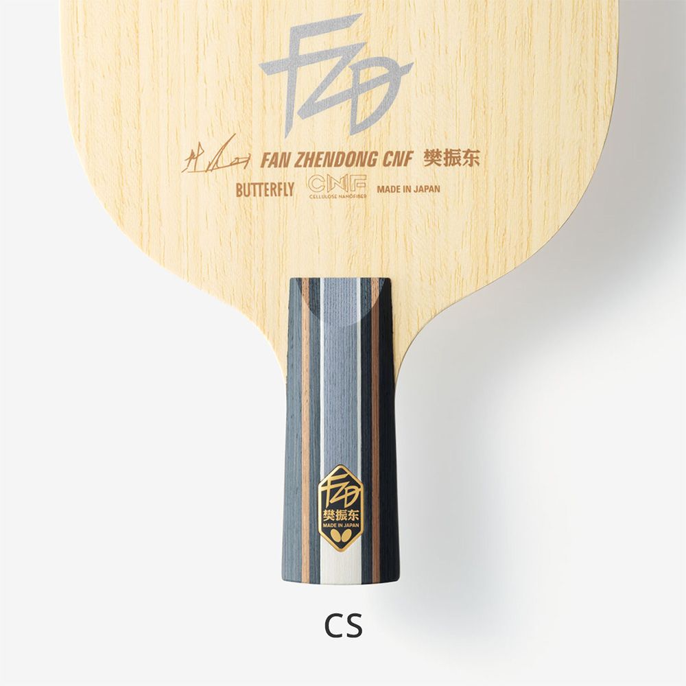 Fan Zhendong CNF