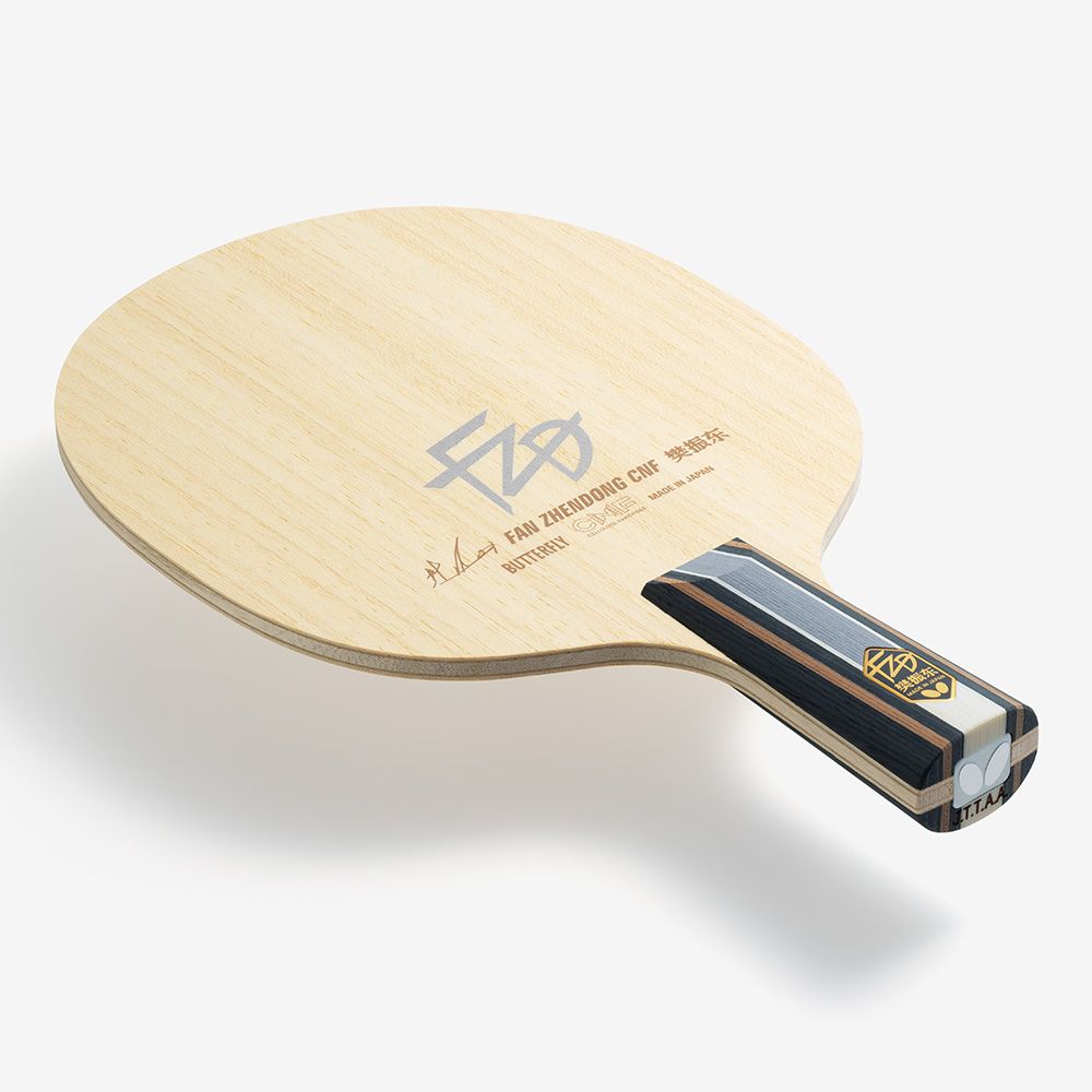 Fan Zhendong CNF
