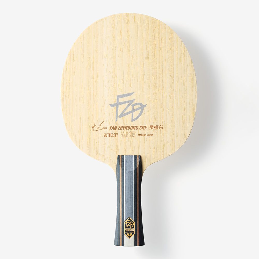 Fan Zhendong CNF