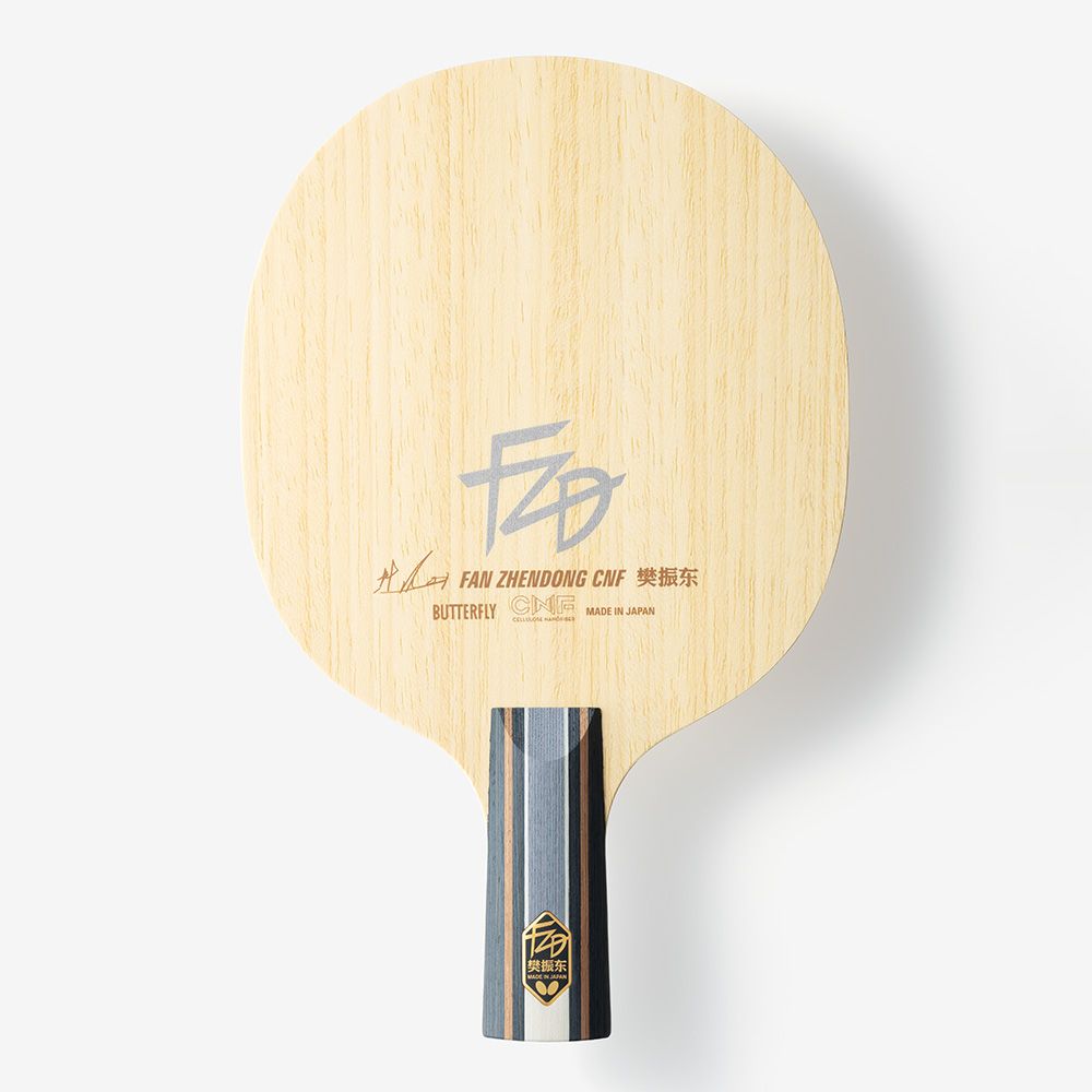 Fan Zhendong CNF