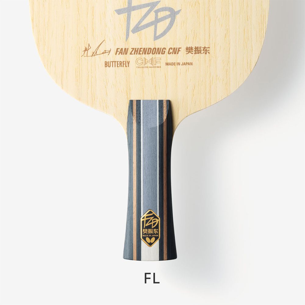 Fan Zhendong CNF