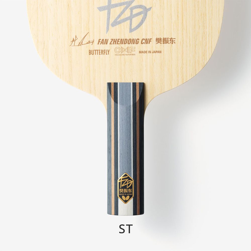 Fan Zhendong CNF
