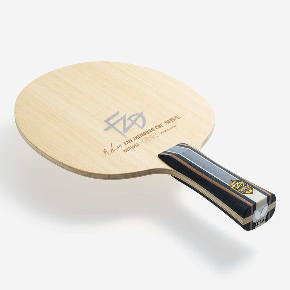 Fan Zhendong CNF