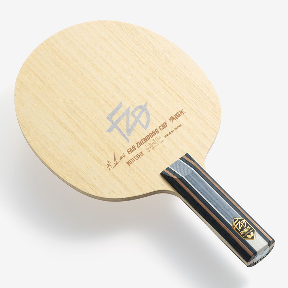 Fan Zhendong CNF