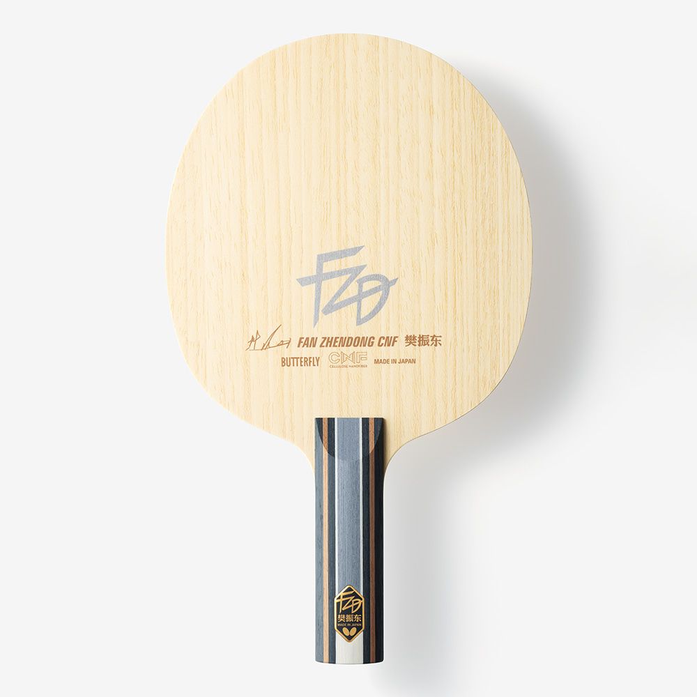 Fan Zhendong CNF