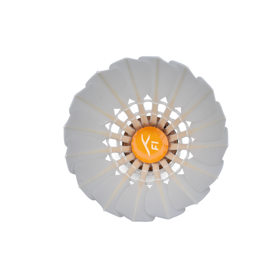 F1 Shuttlecock